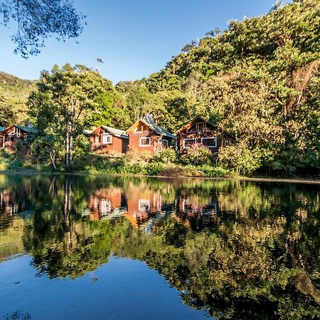 Suenos Del Bosque Lodge San Gerardo de Dota Luaran gambar