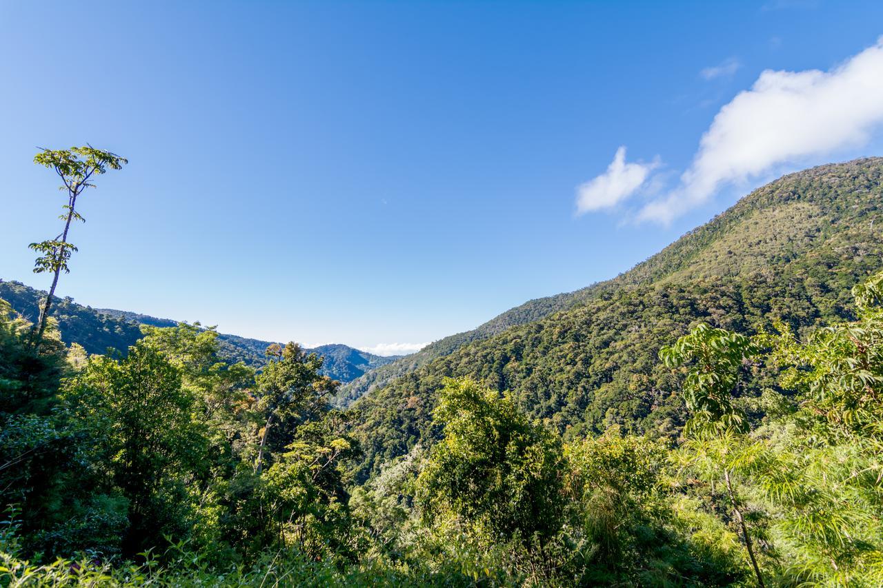 Suenos Del Bosque Lodge San Gerardo de Dota Luaran gambar