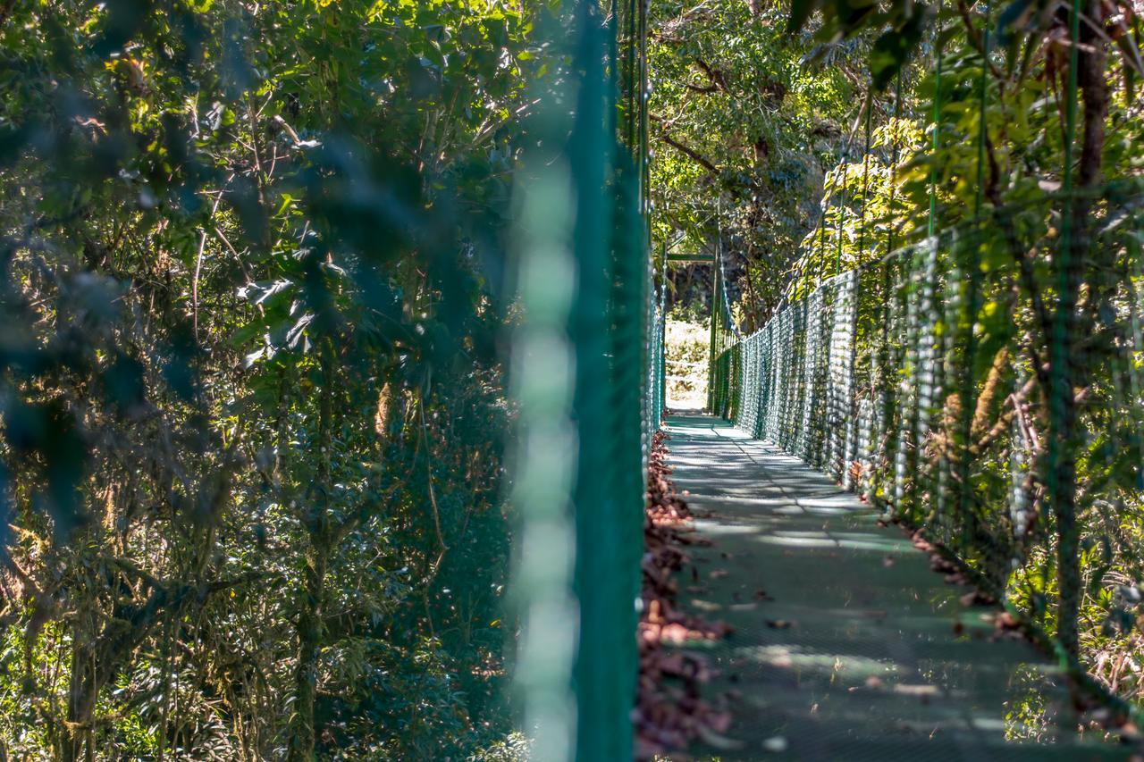 Suenos Del Bosque Lodge San Gerardo de Dota Luaran gambar