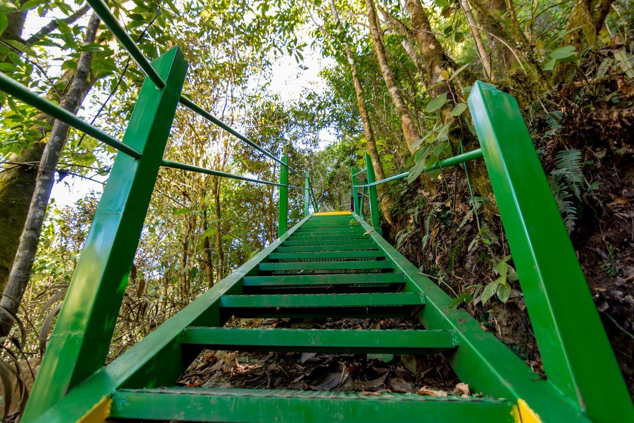 Suenos Del Bosque Lodge San Gerardo de Dota Luaran gambar