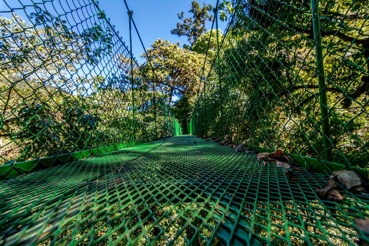 Suenos Del Bosque Lodge San Gerardo de Dota Luaran gambar