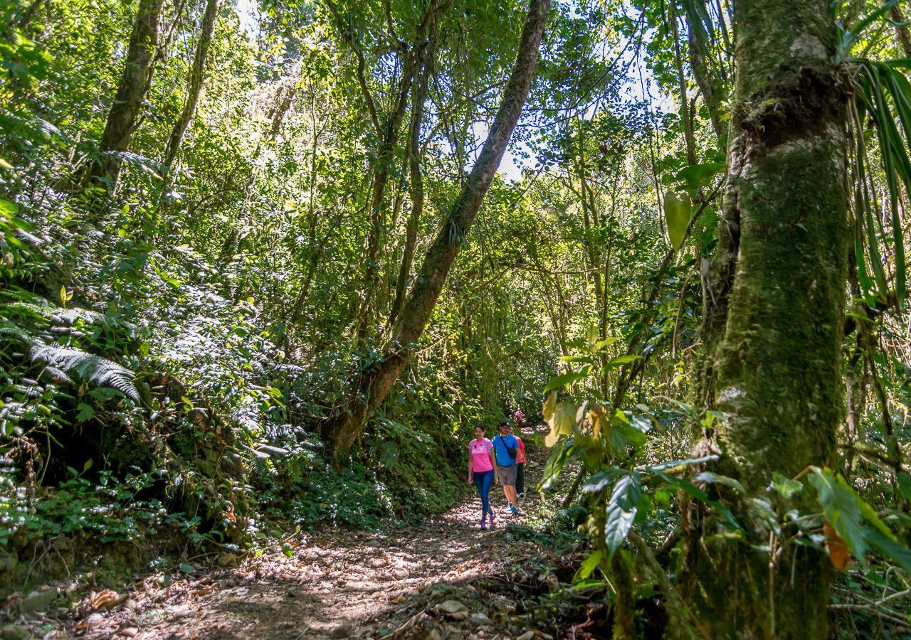 Suenos Del Bosque Lodge San Gerardo de Dota Luaran gambar