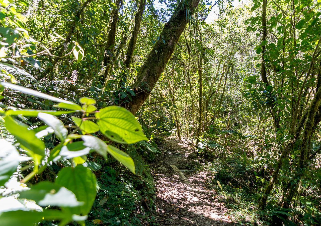 Suenos Del Bosque Lodge San Gerardo de Dota Luaran gambar
